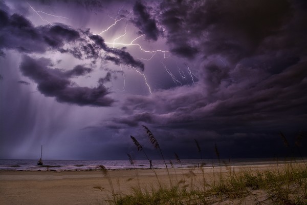 픽사베이 무료사진 가져옴