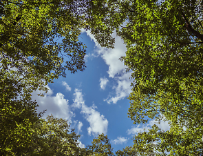 ​​​​​​​​​​​​​