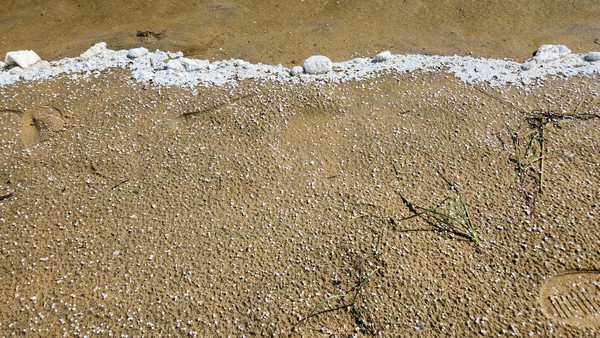강원도 고성 앞바다 동해 해변에서 찍은 필자사진 / 부서진 스티로폼 하얀 알갱이가 모래사장에 별처럼 흩어져 박혀있다. 나의 비탄은 탄식으로 새어 나왔다. 누가 천혜의 자연을 죽이고 있는가.