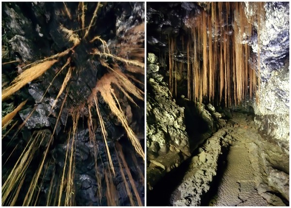▲ 동굴 천장에서 내려온 이상한 덩굴손이 커튼을 만들었다.