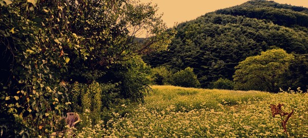   지동리 산기슭(사진출처:이기운)