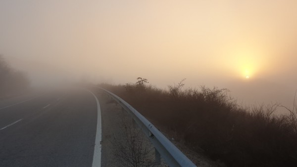 오르막 안개길이 인상적이다.