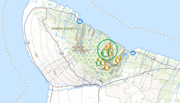 ▲ 파란 동그라미가 도로가 끊기는 곳, 초록 동그라미가 와이힐라우 폭포가 있는 와이마누 밸리( (출처  :https://www.worldwaterfalldatabase.com/waterfall/Waihilau-Falls-639)