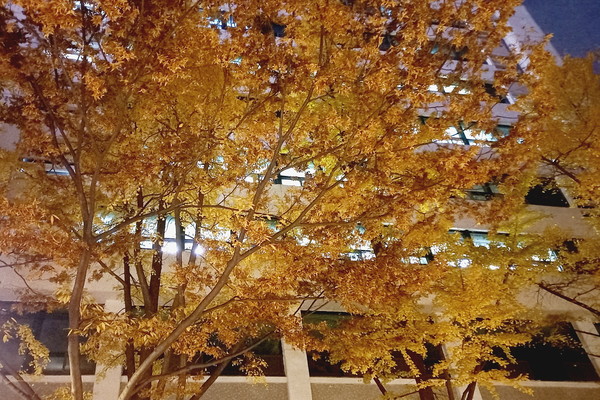 회의 한다는 건물 