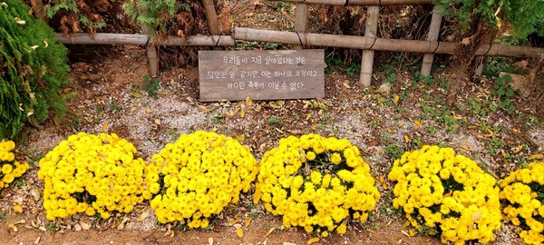 (출처 : 이상직)