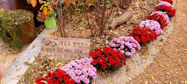 (출처 : 이상직)