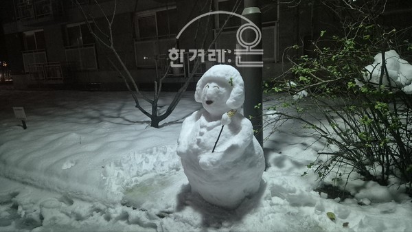   첫눈(필자아들 촬영)