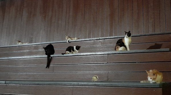 사진 출처 : 필자