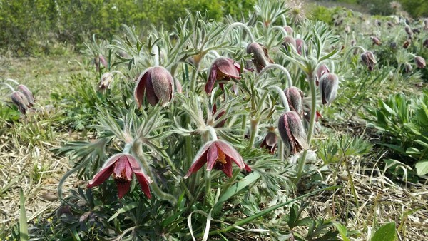 사진 출처 : 필자