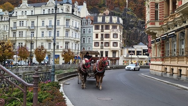 동화 속 그림 같은 장면