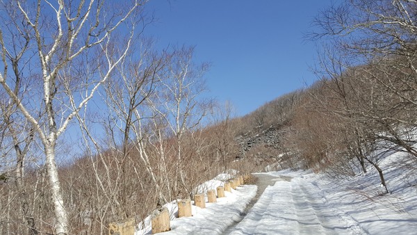   사진출처:이기운