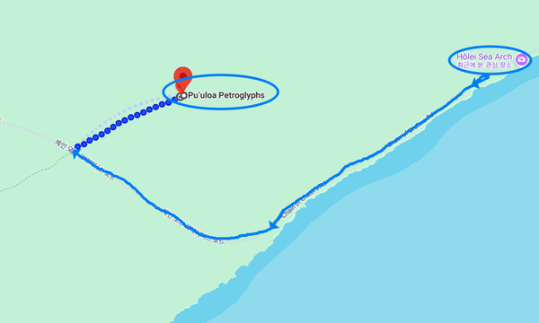 파란 점선이 푸울로아 암각화(Pu'uloa Petroglyphs) Trail 