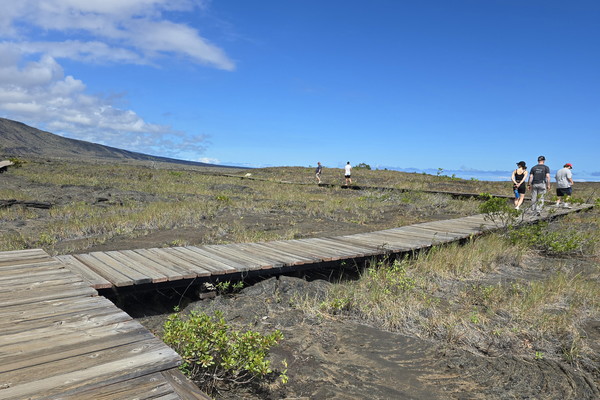 ▲ 푸울로아 암각화(Pu'uloa Petroglyphs)밭은 데크 길을 따라 볼 수 있다. 암각화의 온전한 보존을 위해서다.  