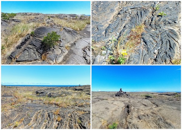 ▲ 푸울로아 암각화(Pu'uloa Petroglyphs) 밭으로 가는 길에서 만난 파호에호에(pāhoehoe) 용암이다. 하단 오른쪽 사진에서  '아후'(ahu, 돌무더기)가 멀리 보인다. 이 '아후'로 트레일 위치를 표시하여 방문객은 안전하게 트레일을 즐길 수 있다. 새로 만들거나 주변의 돌을 올려놓아 변형하는 것은 금지다. 