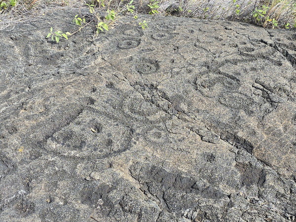 ▲ 푸울로아 암각화(Pu'uloa Petroglyphs)