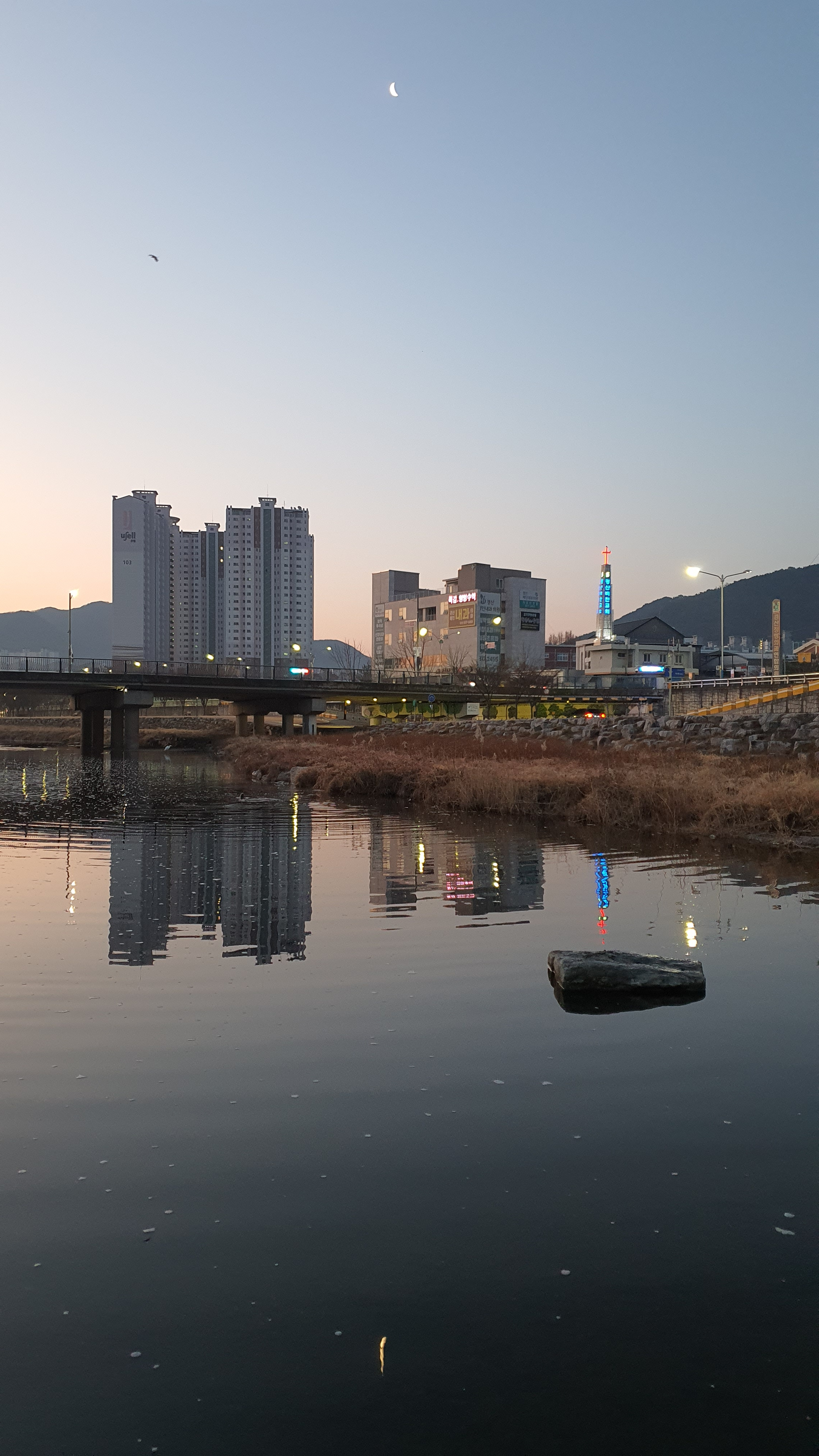 남천에 빠진 그믐달, 이 사진 중앙에 백로도 수달도 보인다.