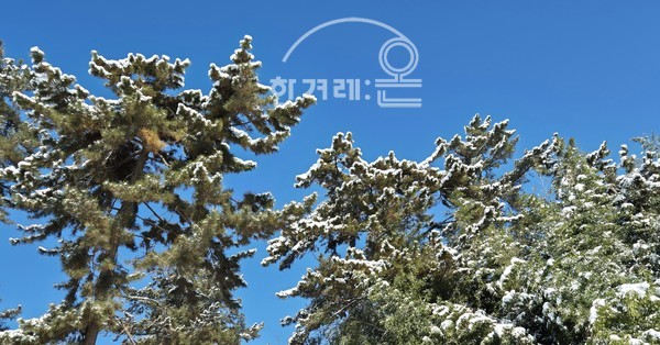  설경(필자촬영)