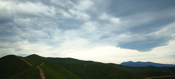 (출처 : 한겨레 21 사진을 오려서 갈무리한 이미지 사진)