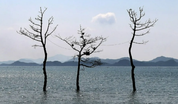 (출처 : 한겨레 신문 박미향 기자)