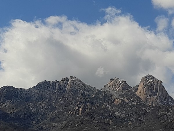 사진 출처 : 필자