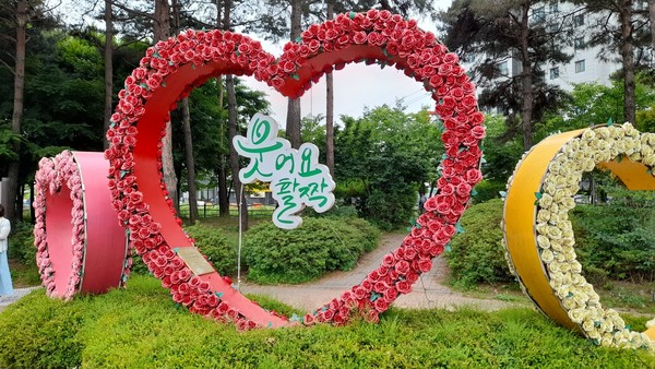 사진 출처 : 필자