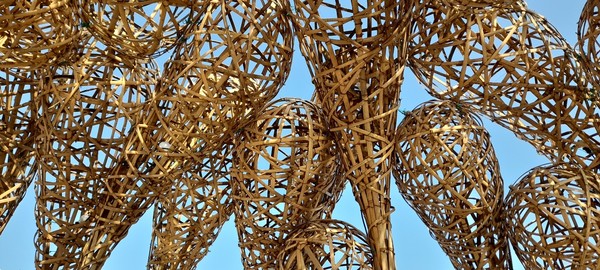 사진 출처 : 필자