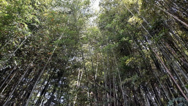 사진 출처 : 필자