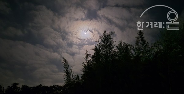   달밤(필자촬영)