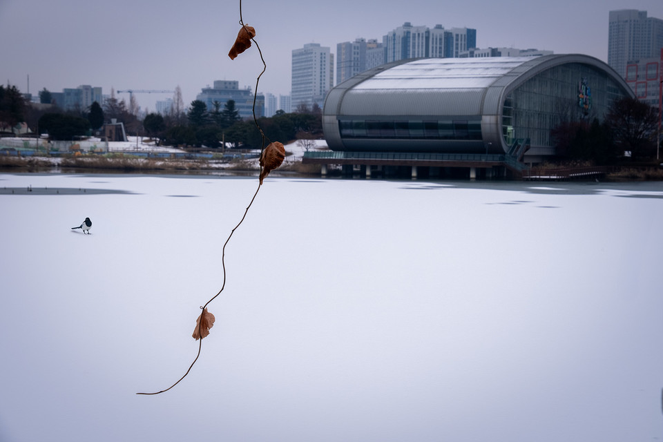 평화의 도시, 피주시의  가온호수.  고즈넉한 설경.  (사진 : 필자)