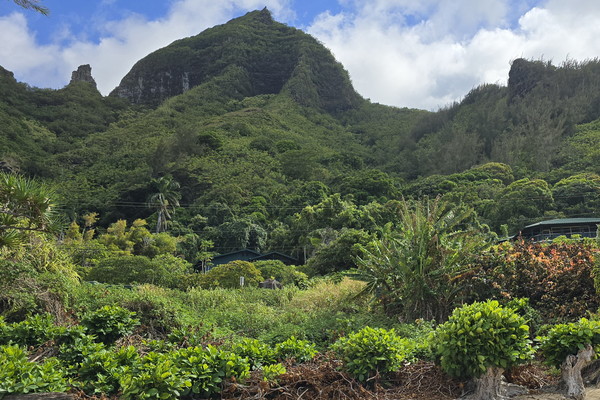▲ 마카나 산 절벽과 해변 사이 모래 언덕에 열대 정글이 우거져있다. 