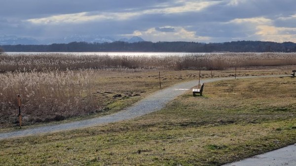 명상에 잠겼던 호수가 벤치를 떠나며