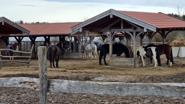 승마장을 지나다가