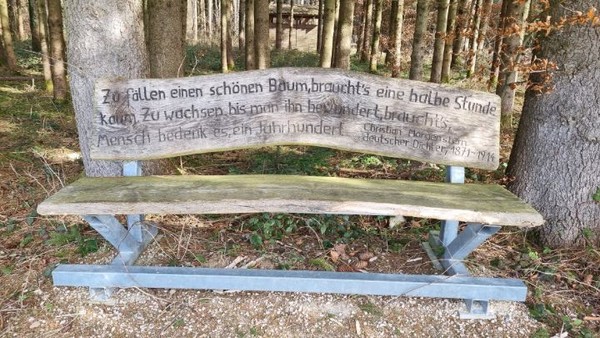 벤치에 있는 문장의 뜻을 물으니, 나무를 없애는데는 반시간이면 되지만 키우는데는 오랜세월이 걸린다는 뜻을 말해준다.