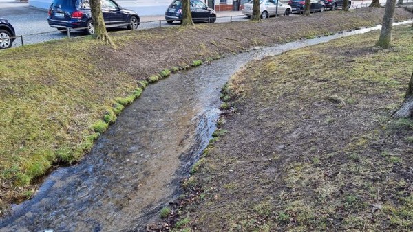 뮌헨과 같은 150만 대도시의 시내 한복판에 이렇게 맑은 물(자연하천)이 흐르는 것이 중요한 지표다. 우리의 청계천은 인공하천이다. 한강물을 끌어올려 사용하는.