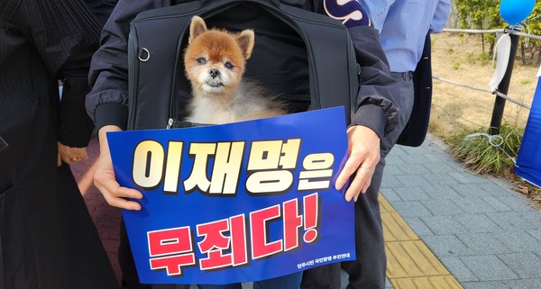 강아지도  안다. '이재명 무죄'라는 것을~