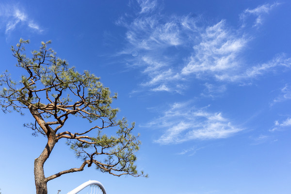 사진 -양성숙 객원편집위원