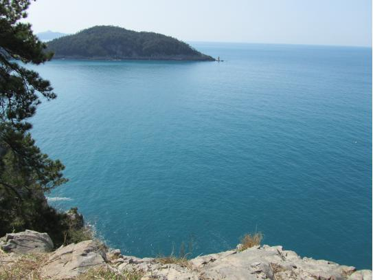 사진- 한겨레 (금 자라의 섬-금오도)