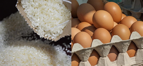 (출처 : 가톨릭 뉴스 지금 여기)