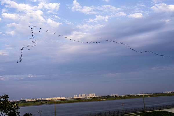 사진 / 최성수 필진