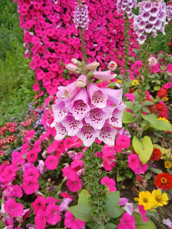 사진 - 필자 직접 촬영