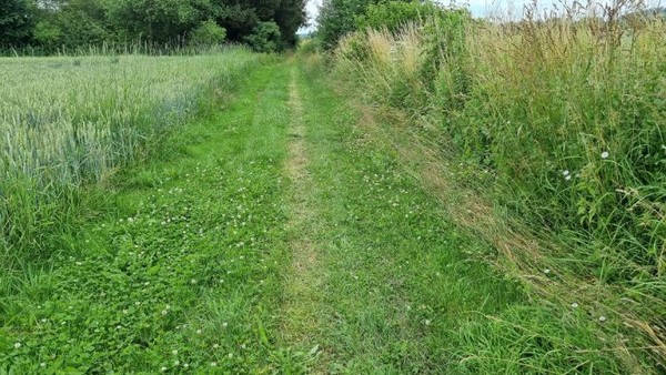 구글은 이런 길도 서슴지 않고 안내해 준다.