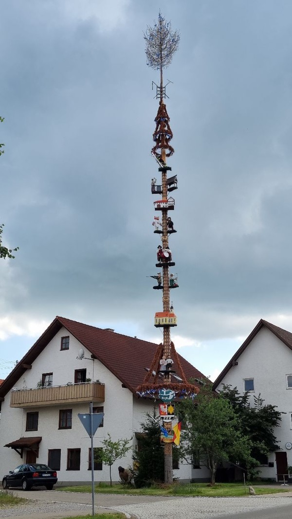 어느 마을 한가운데 있는 크리스마스 트리