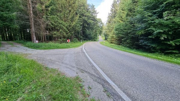 이 숲속길에서 또한 차례 독일인들의 친절한 공공마인드를 겪었다. 배낭을 내려놓고 쉬는 동안 지나가는 차량에 반갑다는 제스추어를 크게 했더니, 그걸 오해했던지 한참 있다가 그 차가 되돌아와서는 혹시 무슨 문제가 있나, 도와드릴까 하고 그러는 것이다. 젊은 남녀였다.