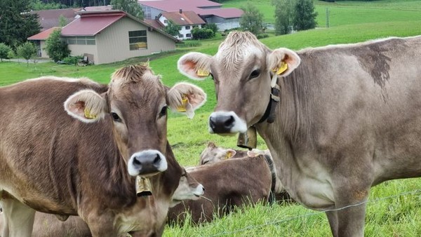 가까이 가니 일어서서 반겨준다. 마치 철학자 분위기가 난다.