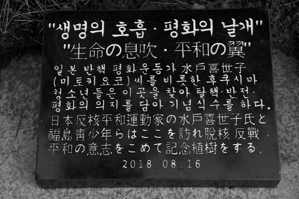 삼척의 탈핵 운동에 깊은 감명을 받았던 미토 키요코 여사는 2018년에 후쿠시마 청소년들과 함께 삼척의 ‘원전백지화기념탑’을 방문하고, 기념 식수를 했다. ©장영식