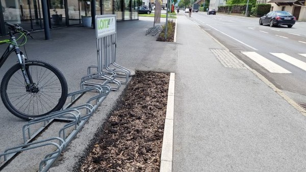 부엽토를 화단 거름으로 쓰고 있다.