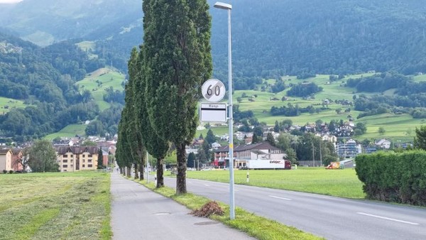 어느덧 스위스로 접어들었다. 숙소가 있는 Sargans의 Wangs 마을. 넉넉한 삶의 분위기가 있는 마을이다. 하지만 물가는 서울의 2배쯤 비싸다. 