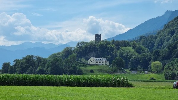 멀리 보이는 성