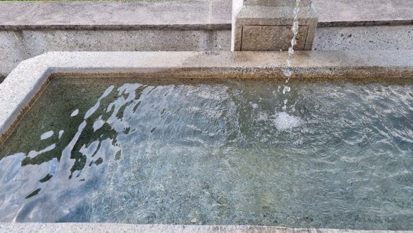 알프스의 풍부한 물을 자랑하듯 깨끗한 물이 동네 한가운데에 제공되고 있다.