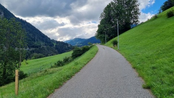 이런 호젓한 길도 걷는다.